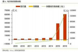 射洪为什么选择专业追讨公司来处理您的债务纠纷？